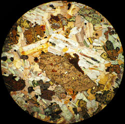 Flag Hill Photomicrograph